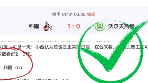 30元以下，羽毛球价格走势分析